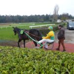 trotteur qui entre en piste sur l